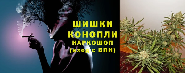 PSILOCYBIN Богородск